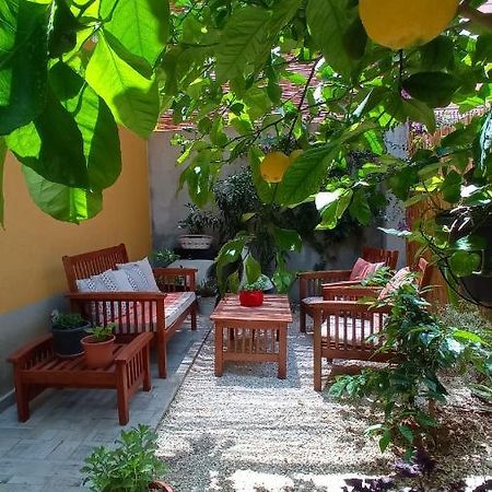 Green House Avola Luaran gambar