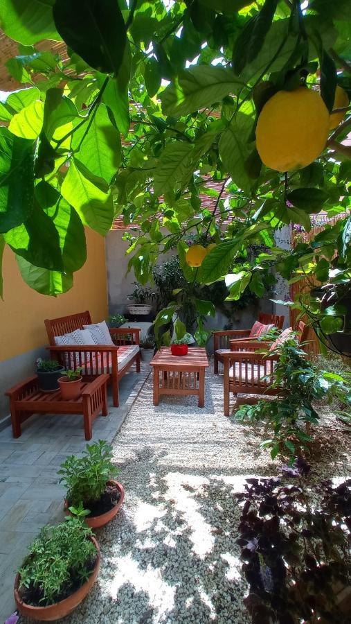 Green House Avola Luaran gambar